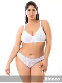 Colaless Puntilla Plus (145519.1) en internet