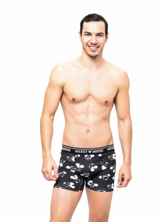 Boxer Mickey (1420750)