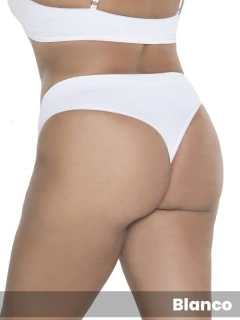 Colaless Morley Sin Costura (146331.1) en internet