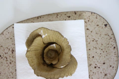 Imagem do FLOWER DE PESO
