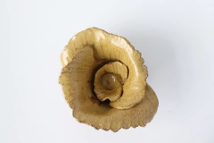 FLOWER DE PESO