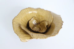 FLOWER DE PESO na internet