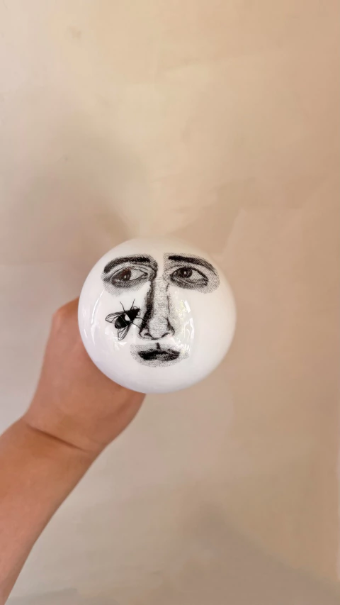 Esfera/Pendurador em Porcelana - Mosca - Greghi Design - comprar online