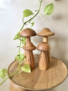 COGUMELOS DE MESA - comprar online