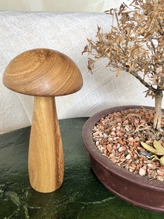 COGUMELOS DE MESA