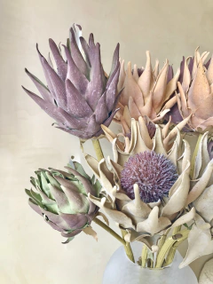HASTE PROTEA ABERTA - DUO - Curadoria FAAS