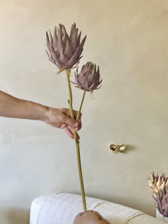 Imagem do HASTE PROTEA ABERTA - DUO