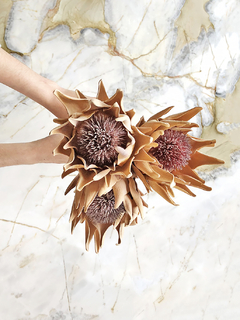 HASTE PROTEA ABERTA - SIMPLE