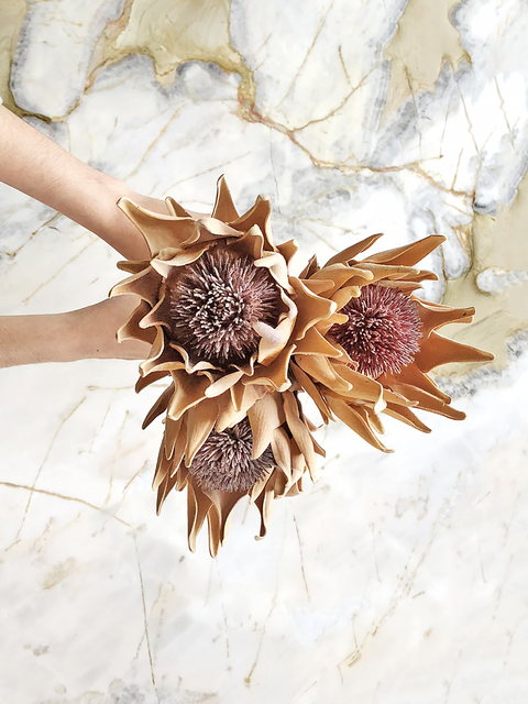 HASTE PROTEA ABERTA - SIMPLE