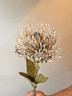 HASTE PROTEA 02 - comprar online