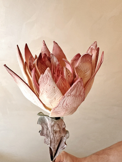 HASTE MAGNÓLIA BLUSH - comprar online