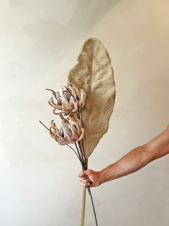 HASTE PROTEA - Curadoria FAAS