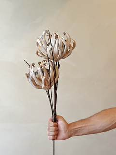HASTE PROTEA - comprar online