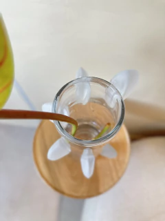 VASO BÚZIOS - Curadoria FAAS