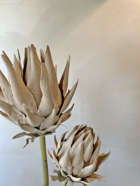 HASTE PROTEA FECHADA - DUO - comprar online