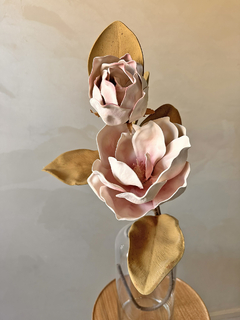 HASTE ROSA na internet