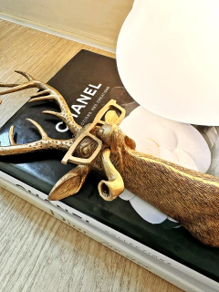 Alce de parede - loja online