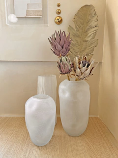 VASO ORGÂNICO