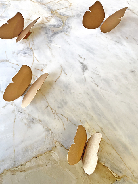 ButterFAAS