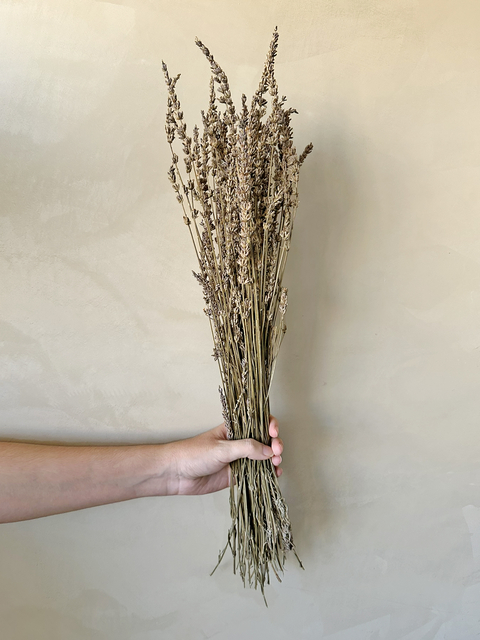 LAVANDA DESIDRATRADA
