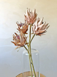 Imagem do HASTE PROTEA ABERTA - DUO