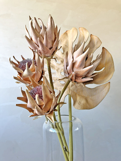 Imagem do HASTE PROTEA ABERTA - SIMPLE