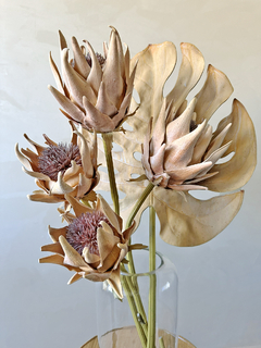 HASTE PROTEA ABERTA - SIMPLE