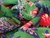 Fibrana Estampada #9 - comprar online