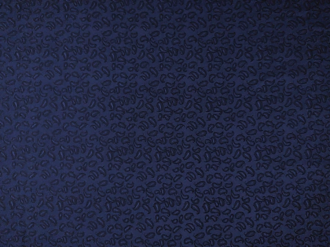 Jacquard de Seda Labrado #2