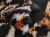 Jersey con Corderito Estampado #5 - comprar online