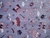 Polar Soft Estampado #46 - comprar online