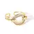 Anillo Oceánico