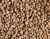 Arcilla expandida (arlita) 1 Litro