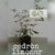 Cedrón limonar (planta)