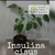 Insulina sisus (enredadera)