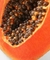 Papaya Maradol ST (20 Semillas)