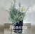 Romero nuez (planta)