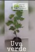 Uva verde tamaño chica (enredadera)