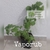 Vaporub (planta)