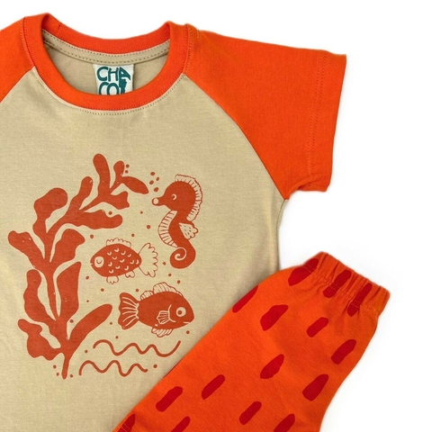 CONJUNTO Nemo