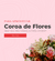 Carrossel 5
