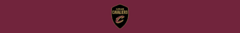 Banner da categoria Cleveland Cavaliers