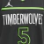 Regata de basquete Minnesota Timberwolves Statement Edition em cinza, verde e branco, com tecnologia Dri-FIT e design arrojado, ideal para fãs e jogadores.