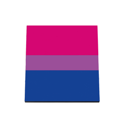 Quadro Decorativo - Bandeiras - Bissexual