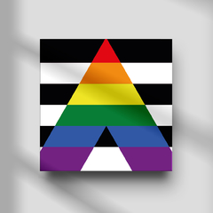 Quadro Decorativo - Bandeiras - Heterossexual aliado na internet