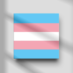 Quadro Decorativo - Bandeiras - Transexual na internet