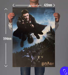 Poster / Cartaz - Harry Potter - Voador - A2: 40x60cm - Fábrica de Pôster