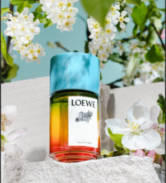 Loewe Paula's Ibiza