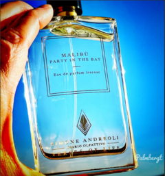 Malibu - Party in the Bay
