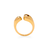 Anillo Chia